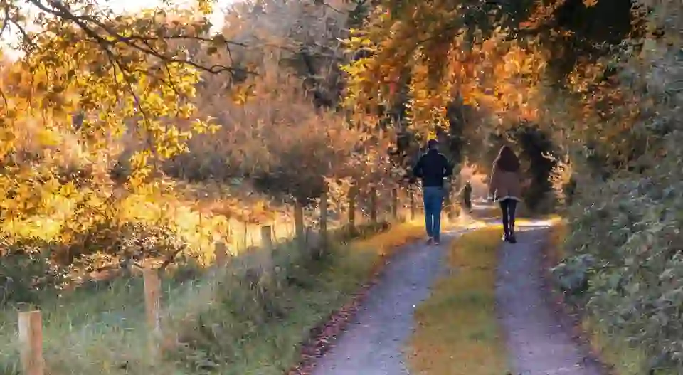 Couple walking along a tree-lined path glowing with autumn colours near Hodson Bay Hotel, County Roscommon.