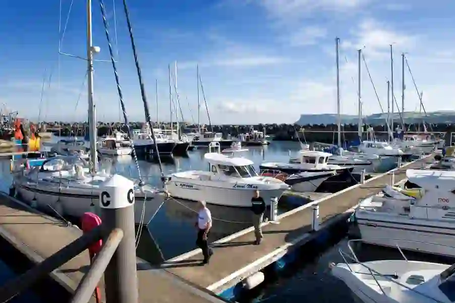 Ballycastle Harbour CoWeb Size