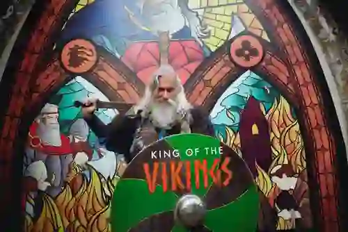shameless-plugs-cta-king-of-the-vikings-waterford-final