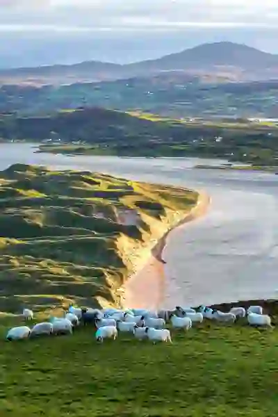 donegal-wild-beauty-five-finger-strand