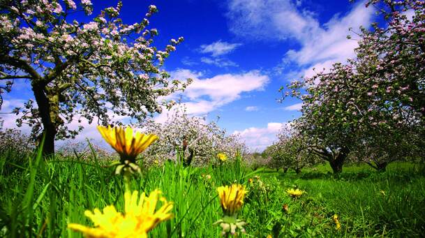 Top 5 April | Ireland.com