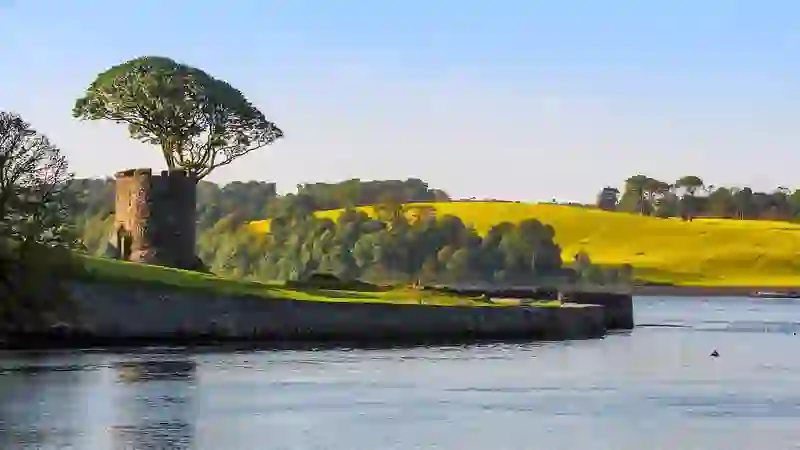 Historic tower and tree stand beside calm waters at Strangford village, County Down.