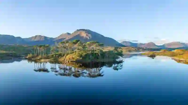 Pine-covered island reflected in a still Connemara lake with mountains rising beyond, County Galway.