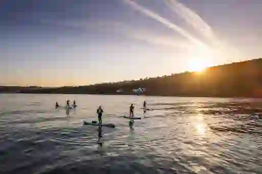 People paddleboard across calm coastal waters under a golden sky near a hillside at sunset.