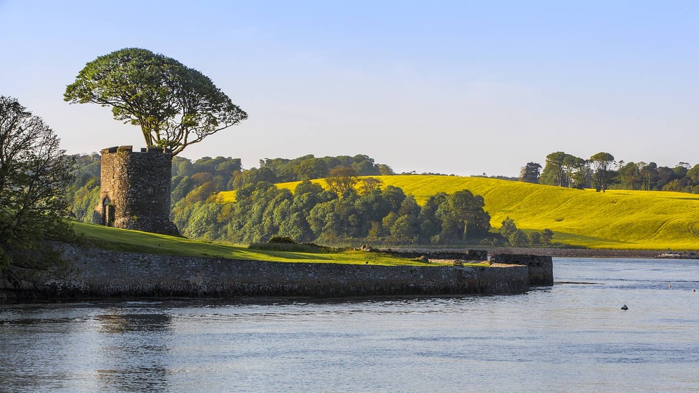 Stone tower and woodland overlooking tranquil waters and golden fields near Strangford in County Down.
