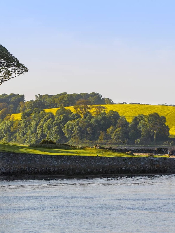 Stone tower and woodland overlooking tranquil waters and golden fields near Strangford in County Down.