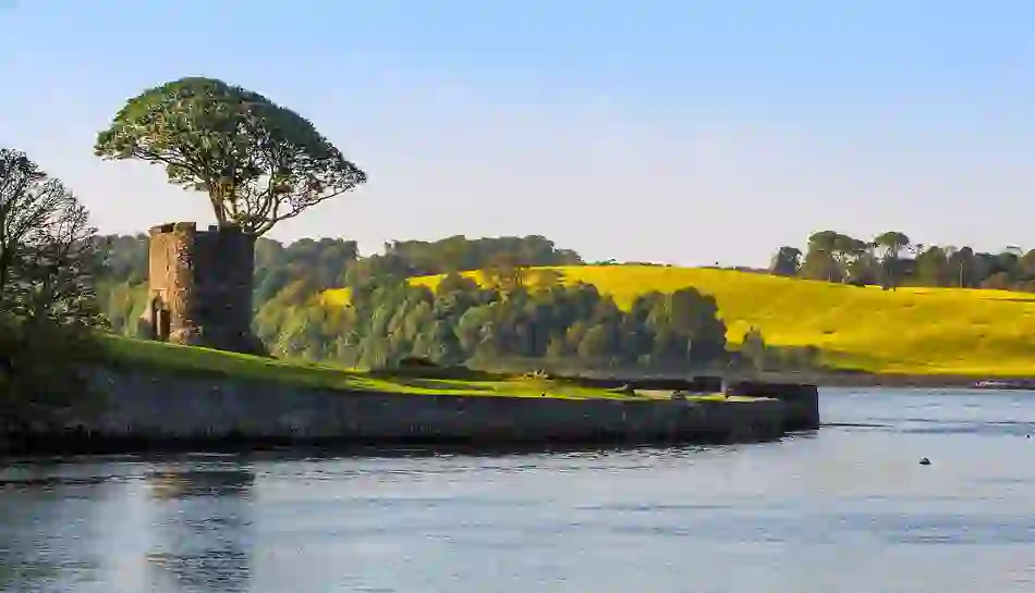Stone tower and woodland overlooking tranquil waters and golden fields near Strangford in County Down.