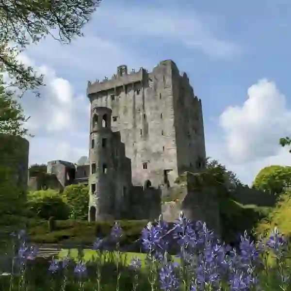 Blarney Castle, Contea di Cork, Castello di Blarney