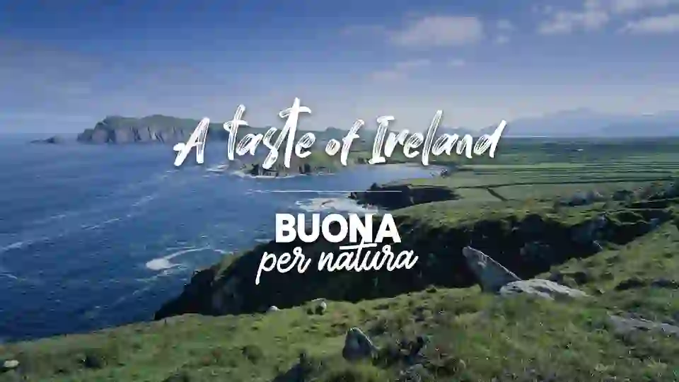Taste of Ireland