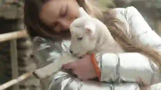 Emmys Fill Your Heart with Ireland Challenge emmy hugging a lamb