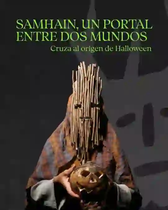 Cartel website