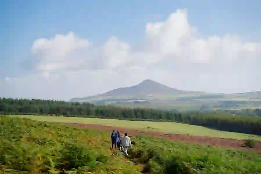 Djouce Mountain Trail Wicklow Mountains Co WicklowWeb Size