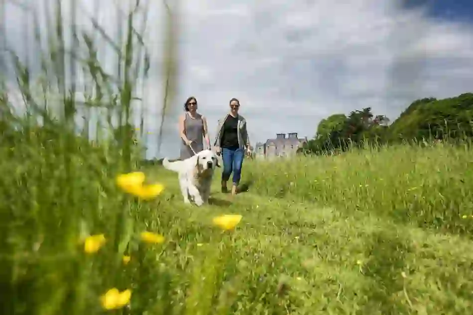 dogwalkers-portumna-castle-county-galway