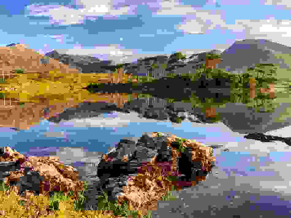 Pine Island, Connemara, County Galway