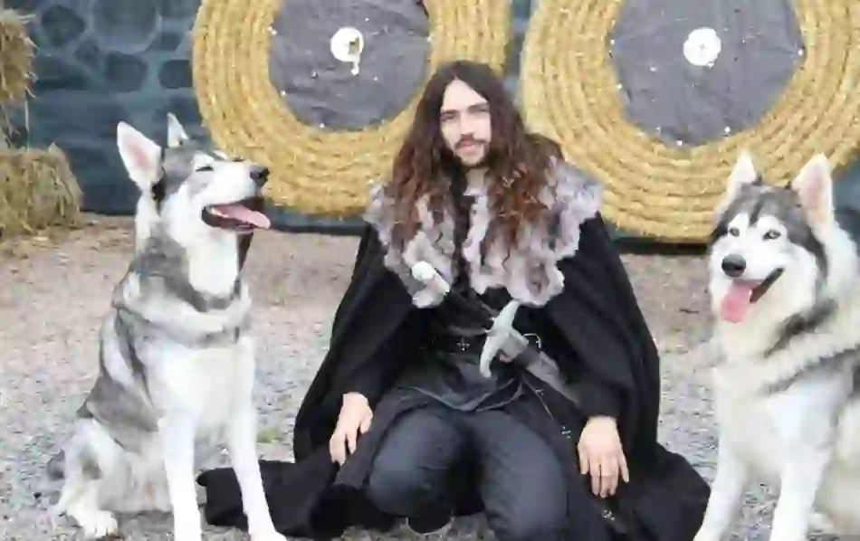 Direwolves at Winterfell