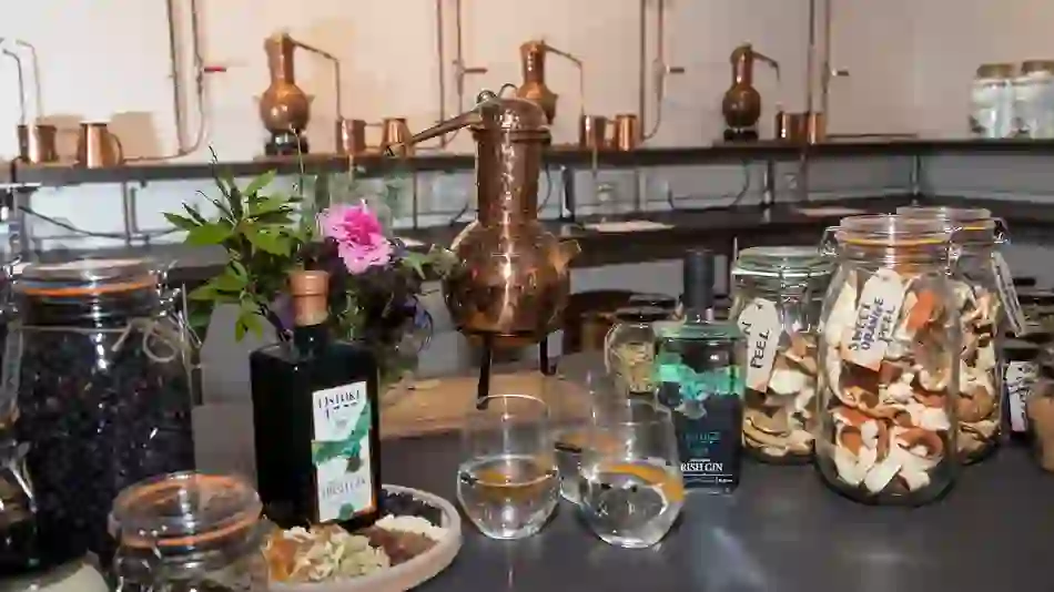gin-listoke-gin-school-county-louth