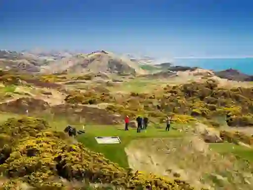 Golf-insetcms4