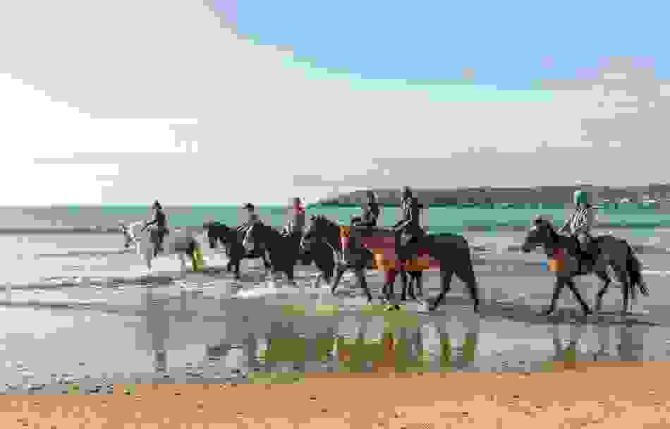 Gruppo di persone a cavallo lungo la riva di una spiaggia di sabbia nella contea di Cork.