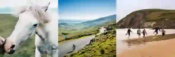 dingle-IG