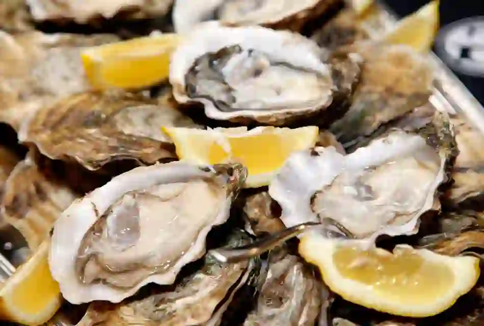 oysters-image-one