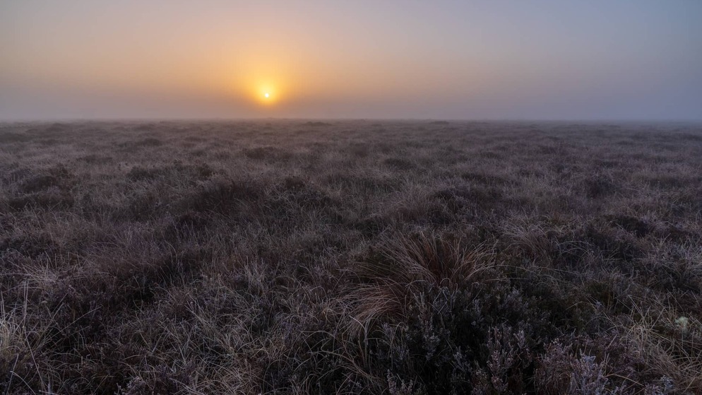 Een gouden zonsopgang verlicht het bevroren veenmoeras in Ierlands verborgen hart.