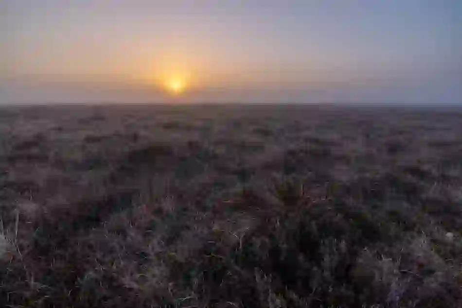 Sunrise_Clara_Bog_County_Offaly