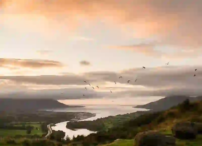 Flagstaff Viewpoint Warrenpointmaster