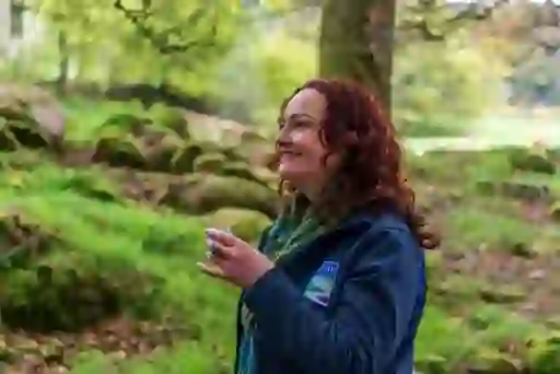 Forest Bathing at the Ring of Gullion, County Armagh