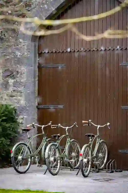hawkwalks-ashfordcastlebikes