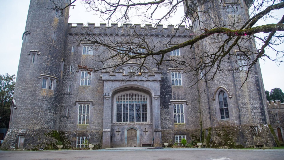 Façade néo-gothique du château de Charleville avec des tours rondes et des branches nues sur un ciel pâle dans le comté d'Offaly.