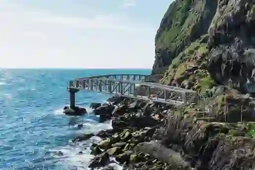 The Gobbins cliff path jutting out from rugged rocks on a fine day on the coast of County Antrim.