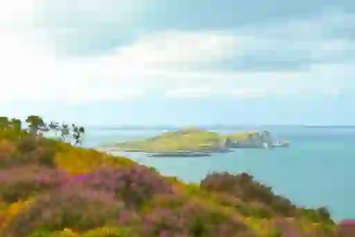 Lambay Island