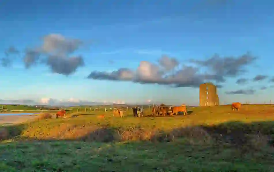 banshees-dough-castle-county-clare-v1