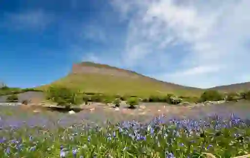 Benbulben Co Sligowebsize2500x1200px