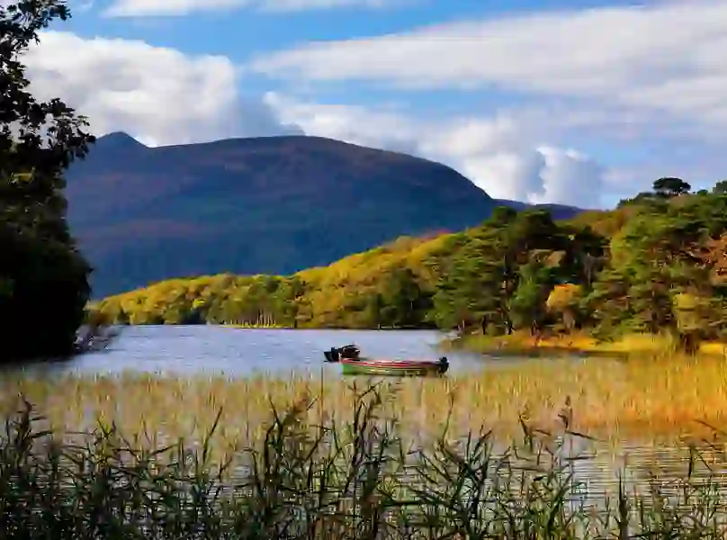 Purple Mountain over Muckross Lake_web-size_2500x1200px