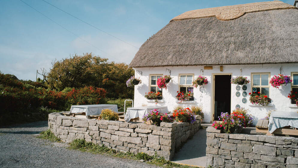 Aran Food Tour  Inis Mor Aran Island Co Galwaywebsize