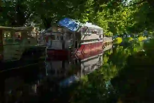 Boats moored along the leafy Grand Canal in Dublin, with sunlight filtering through the trees and reflecting on the calm water.