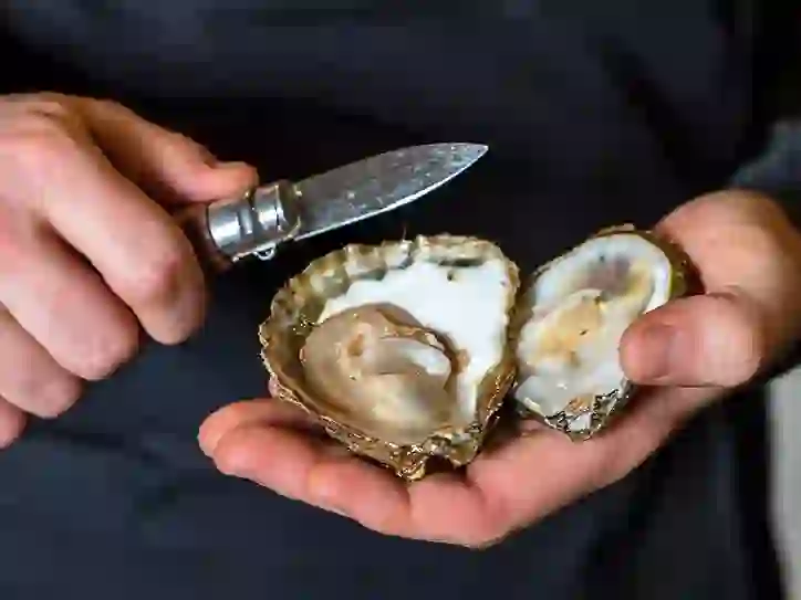 Fresh oyster being shucked by hand at Moran’s Oyster Cottage in County Galway.