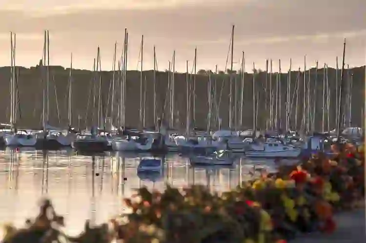 Yachts moored in Kinsale Harbour at sunset in County Cork.