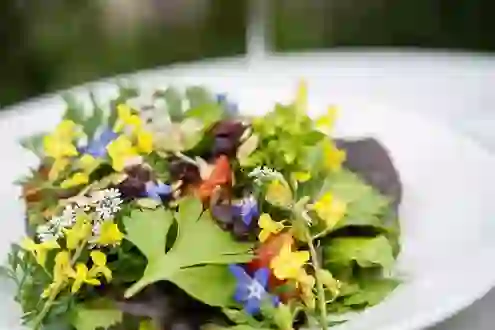 restaurants-kitchen-gardens-killeavy-castle-garden-salad