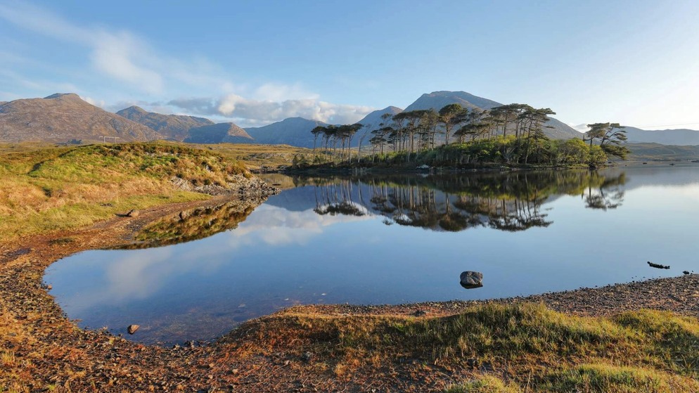 Pine trees reflected in still water with the Twelve Bens mountains in the background in Connemara, County Galway.