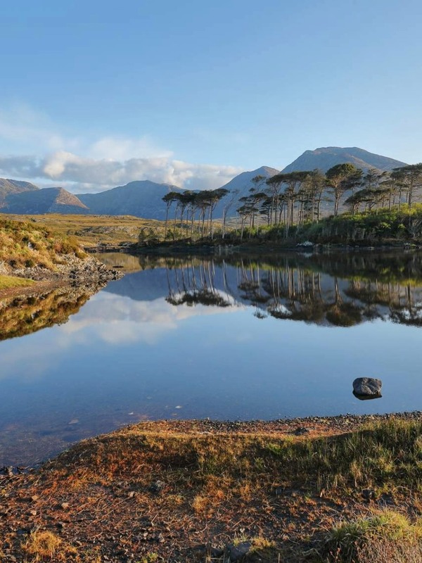 Pine trees reflected in still water with the Twelve Bens mountains in the background in Connemara, County Galway.