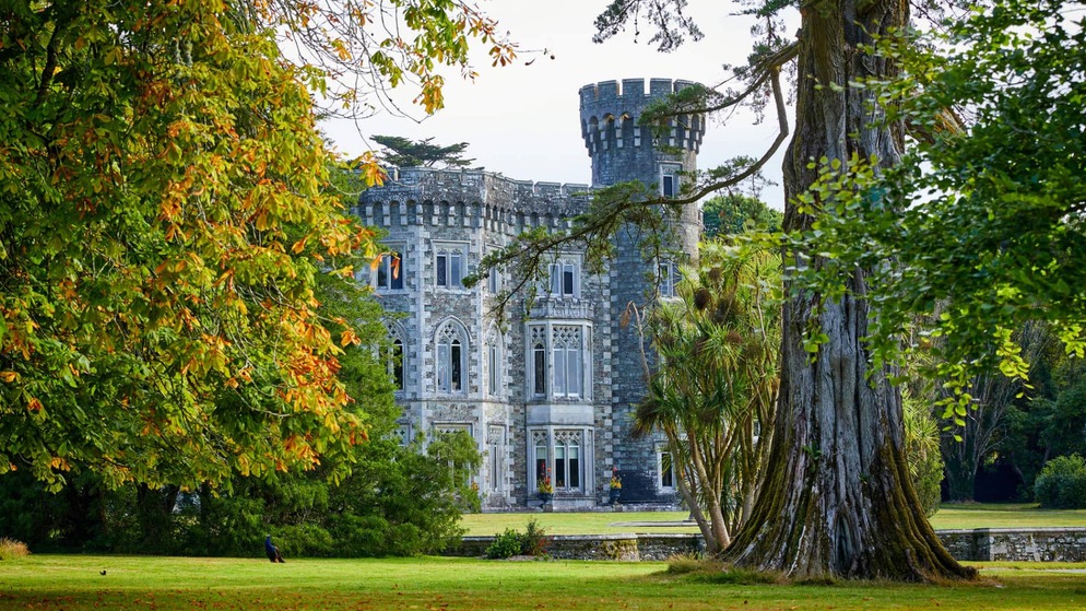 Castle tower partially hidden by autumn trees in Ireland’s Ancient East.