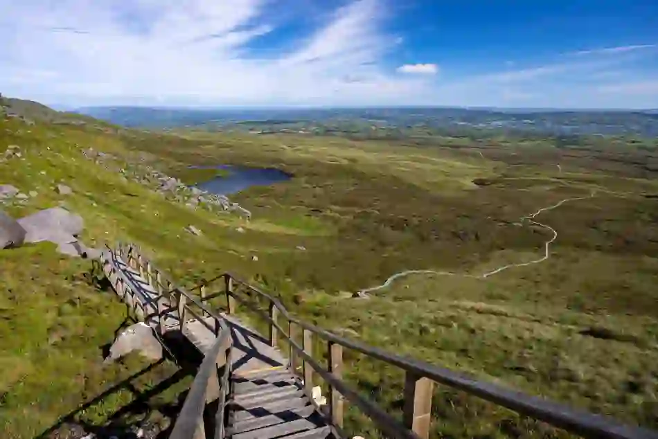 Boardwalk steps on the Cuilcagh Trail leading down toward the bogland and lake in County Fermanagh.