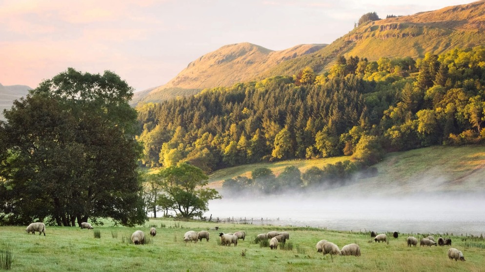 Paisaje de colinas y bosques iluminados por el sol en las regiones ocultas de Irlanda, con superposición de encabezados.