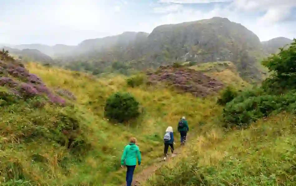 cavehillwalkingtour-cavehilllandscapes