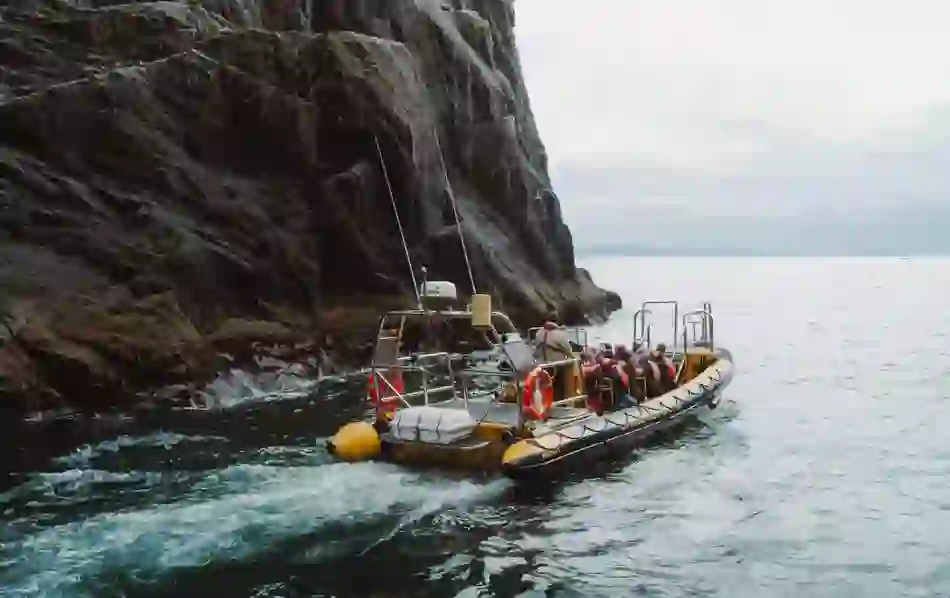 ten-amazing-boat-trips-dingle-county-kerry-v1