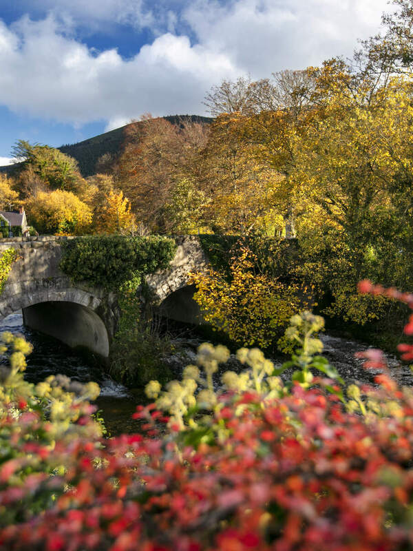 Stone bridge framed by autumn trees in Rostrevor village, County Down.
