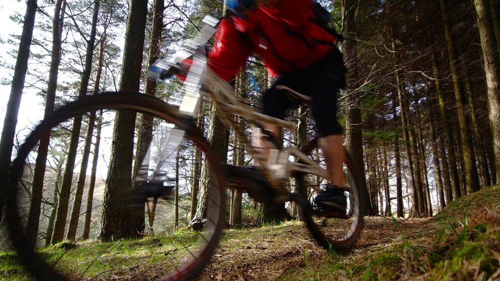Ein Mountainbiker fährt auf einem Trail in Irland umgeben von hohen Bäumen und natürlichem Licht.