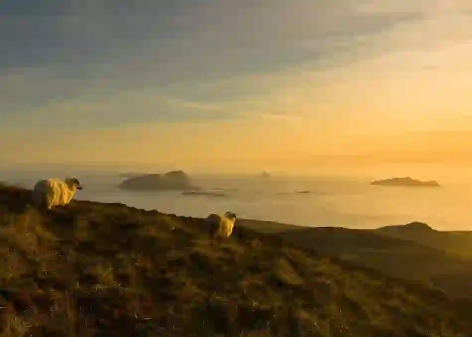 Blasket Islands, County Kerry